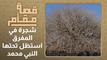 الحلقة الرابعة والعشرون - شجرة في المفرق استظل تحتها النبي محمد