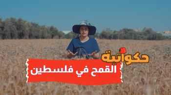 الحلقة السادسة - القمح في فلسطين